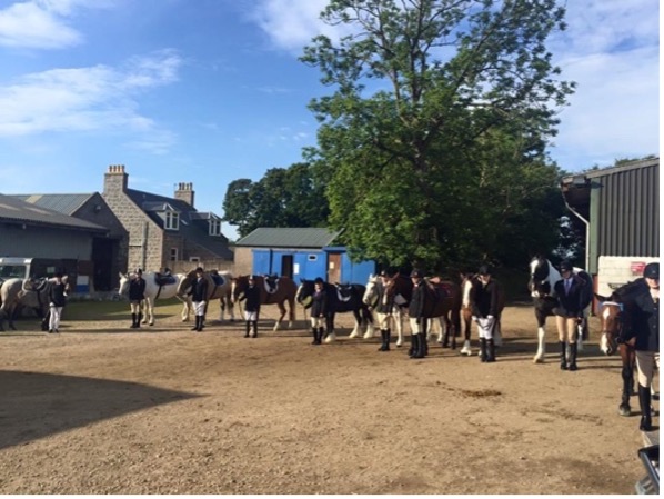People with horses lined up at an equestrian event near buildings with a tree