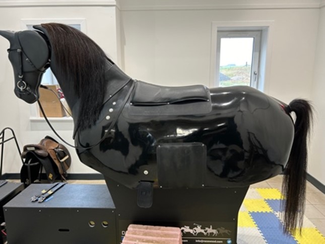 Black equestrian training mannequin with saddle and bridle indoors